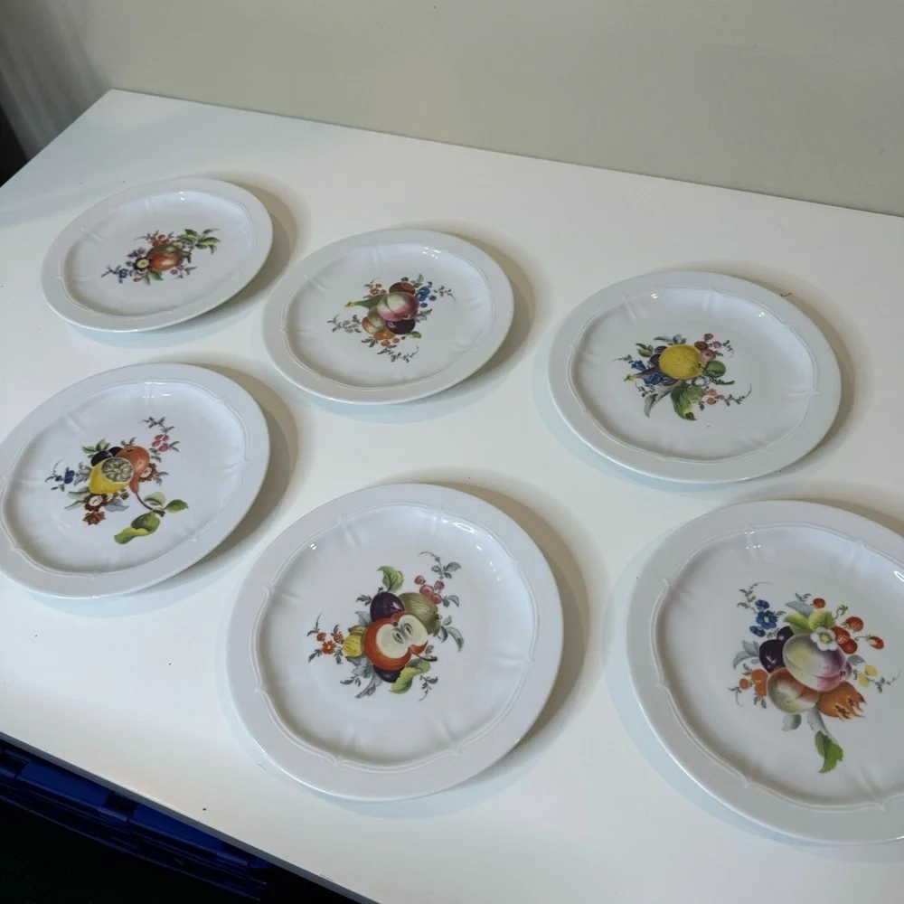 VOHENSTRAUSS-Johann Seltmann-Bavarian Germany Botanical Fruit salad plates